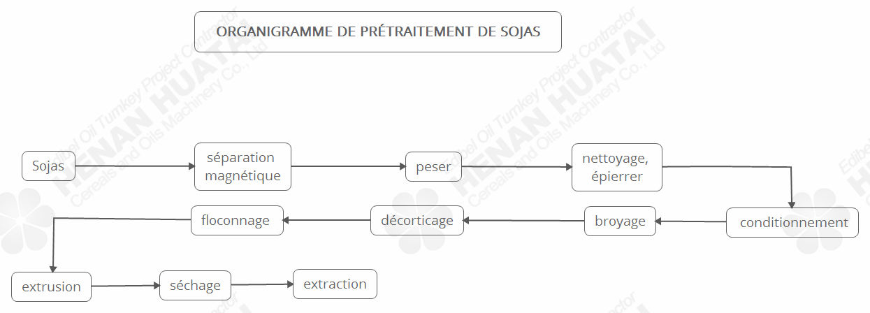 Chaîne de Production d'Huile de Sojas en Algérie/ Chine Machines d'Extraction d'Huile de Sojas en Afriqu